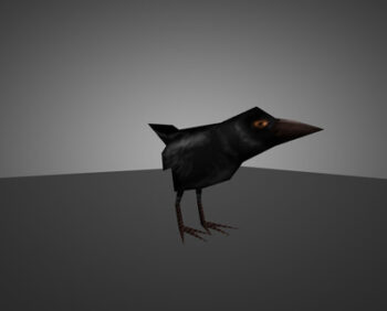 crow