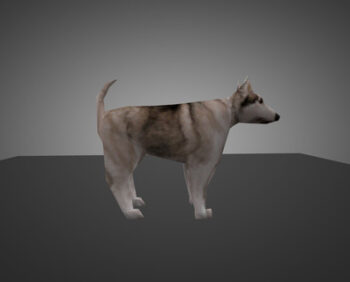 doggie_0