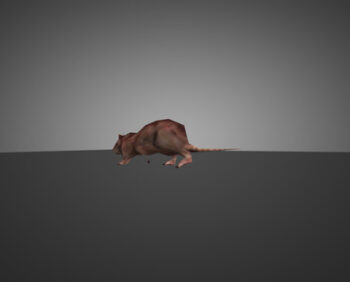 hl1-rat_1