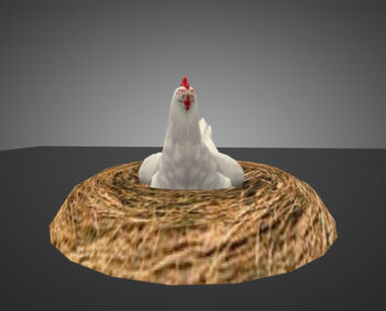 nest-chicken_0