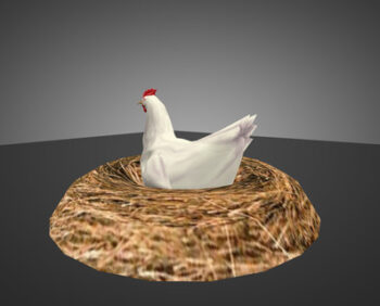 nest-chicken_1