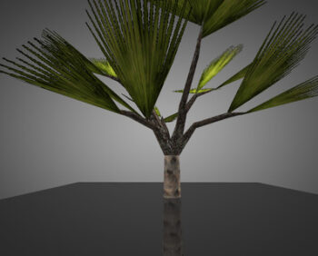 plant-for-chicken