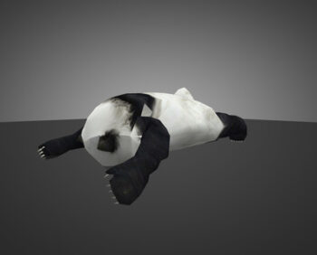 sleeping-baby-panda_0