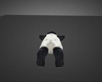 sleeping-baby-panda_1