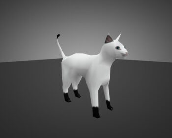 white-cat-for-chicken_0