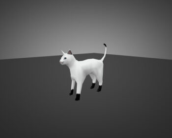 white-cat-for-chicken_1