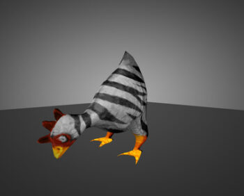 zebra-chicken_1