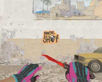 niceshot