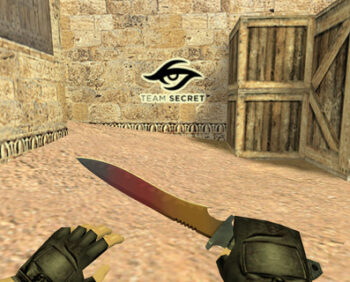 teamsecretlogo